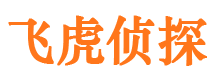 临县市婚外情调查